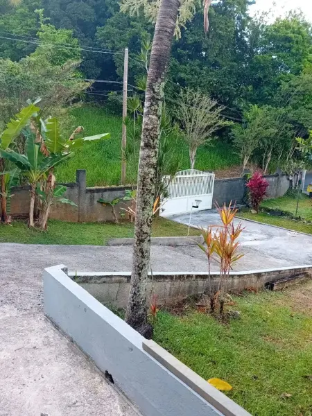 Charmant Bungalow avec Vue sur le Jardin à Les Abymes - Photo 1