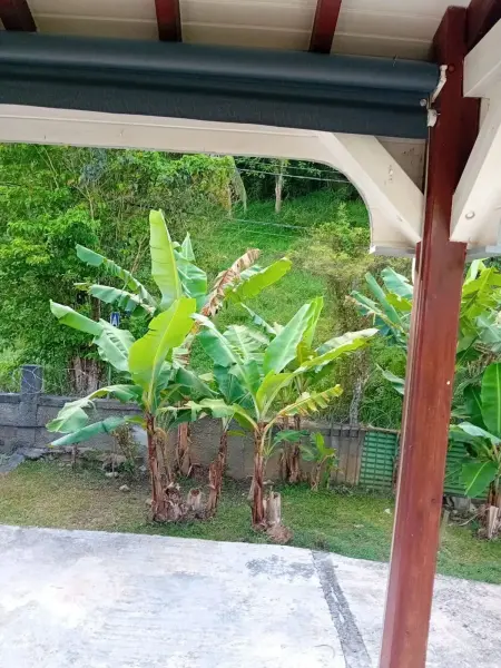 Charmant Bungalow avec Vue sur le Jardin à Les Abymes - Photo 4