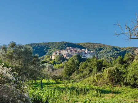 Zypressen, ein Haus im Wald an der ligurischen Riviera - Photo 27