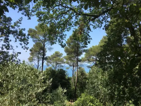 Zypressen, ein Haus im Wald an der ligurischen Riviera - Photo 37
