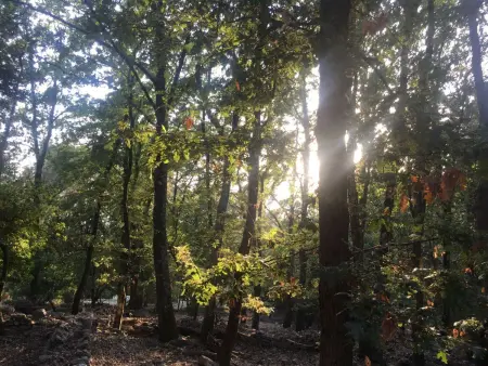 Zypressen, ein Haus im Wald an der ligurischen Riviera - Photo 39