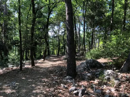 Zypressen, ein Haus im Wald an der ligurischen Riviera - Photo 40