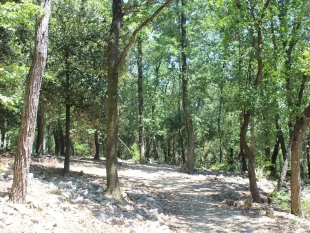 Zypressen, ein Haus im Wald an der ligurischen Riviera - Photo 42