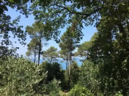 Hexenhaft, natürlich und entspannt, Maison 5 personnes à Ameglia - Photo 42