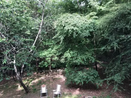 Kirschbäume, eine Oase im Wald zwischen Meer und Natur - Photo 4