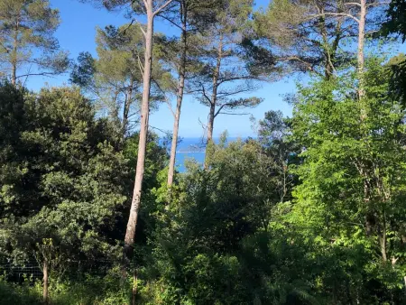 Kirschbäume, eine Oase im Wald zwischen Meer und Natur - Photo 9