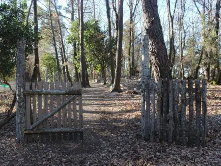 Kirschbäume, eine Oase im Wald zwischen Meer und Natur - Photo 10