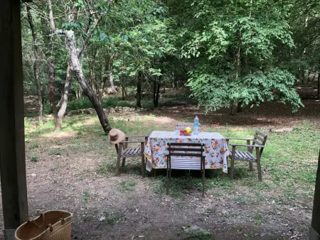 Kirschbäume, eine Oase im Wald zwischen Meer und Natur - Photo 23