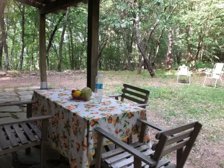 Kirschbäume, eine Oase im Wald zwischen Meer und Natur - Photo 37
