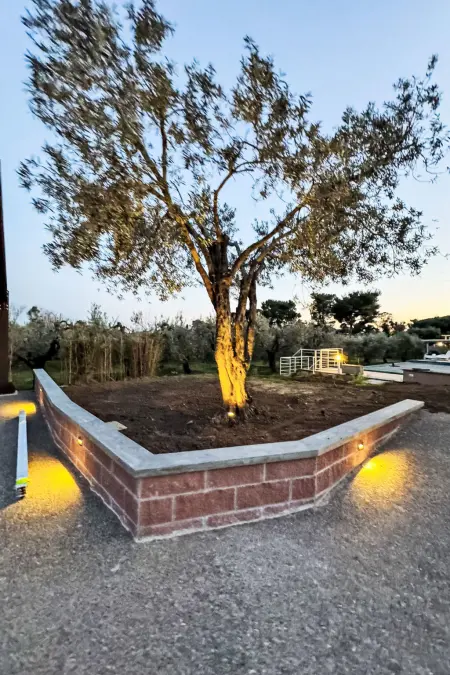 Rose Adriano Home, Maison 8 personnes à Cecina - Photo 32