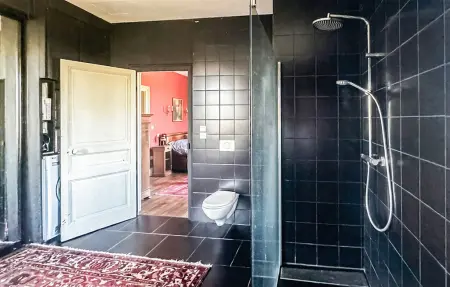 Superbe maison en pierre, Maison 12 personnes à Flavignac - Photo 17
