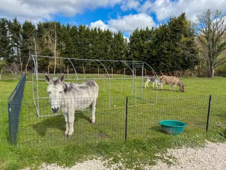Gîte charmant, animaux admis - 2 pers., Gite 2 personnes à Cour Cheverny - Photo 19