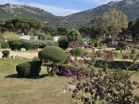 Appartement pour 6 pers. à Sant'Ambroggio, Appartement 6 personnes à Lumio - Photo 11