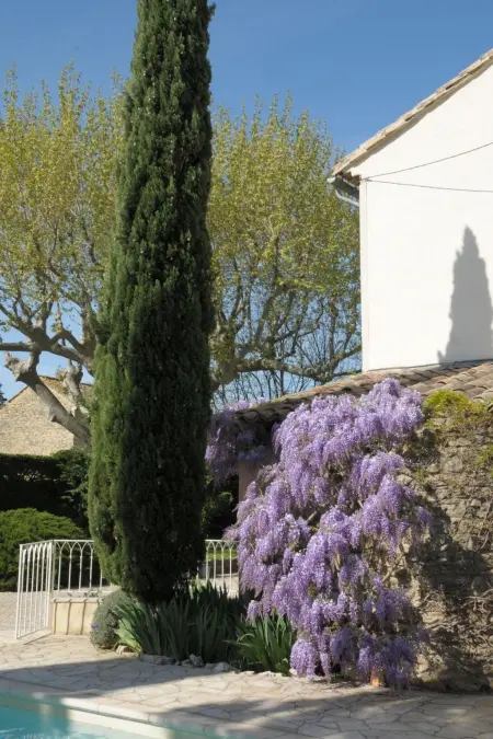 Bauernhaus mit Garten und Pool mit Bergblick, Maison 10 personnes à Sarrians - Photo 5