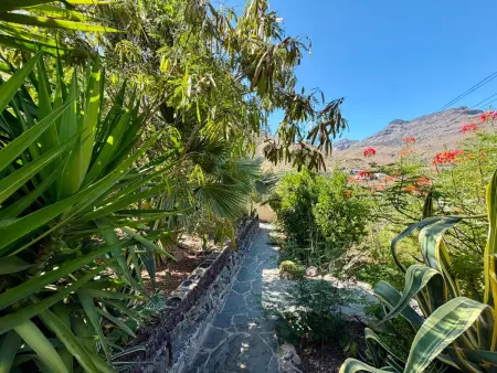 Gîte rural avec piscine privée - 10 pers., Gite 10 personnes à San Bartolomé de Tirajana - Photo 16