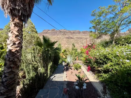Gîte rural avec piscine privée - 10 pers., Gite 10 personnes à San Bartolomé de Tirajana - Photo 17