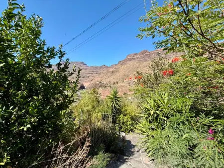 Gîte rural avec piscine privée - 10 pers., Gite 10 personnes à San Bartolomé de Tirajana - Photo 19