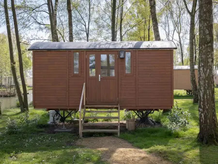 Camping Papillon Kinrooi - Pipowagen 2 personen, Maison 2 personnes à Kinrooi - Photo 1