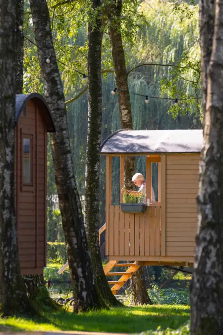 Camping Papillon Kinrooi - Pipowagen 2 p. terras - Photo 1