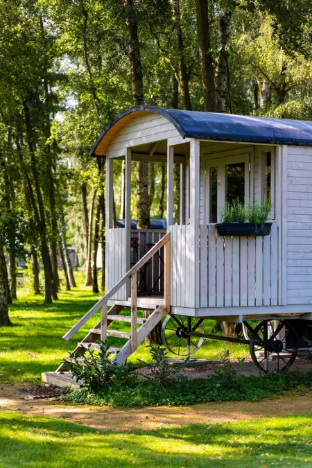 Camping Papillon Kinrooi - Pipowagen 2 p. terras - Photo 5