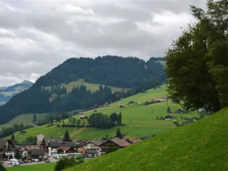Bijou Eggetli, Appartement 4 personnes à Zweisimmen - Photo 4