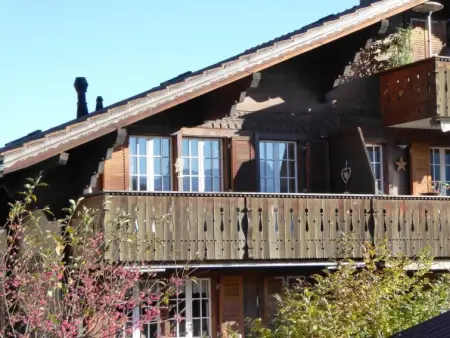 Résidence Sonnegg (Herrli), Appartement 4 personnes à Zweisimmen - Photo 2