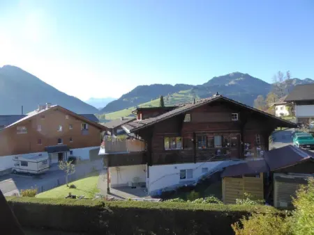 Résidence Sonnegg (Herrli), Appartement 4 personnes à Zweisimmen - Photo 5