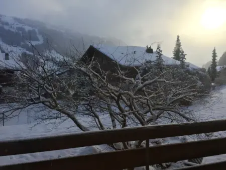 Ammerten A17, Appartement 2 personnes à Lenk - Photo 6