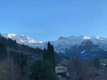 Iris, Appartement 4 personnes à Lenk - Photo 4