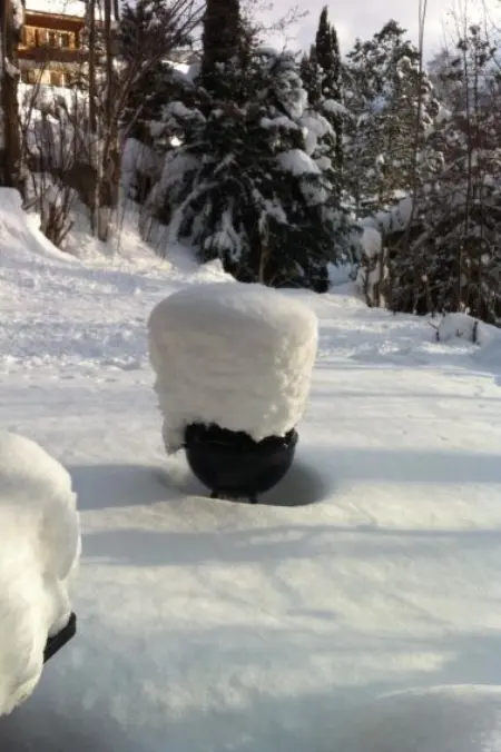 Iris, Appartement 4 personnes à Lenk - Photo 16