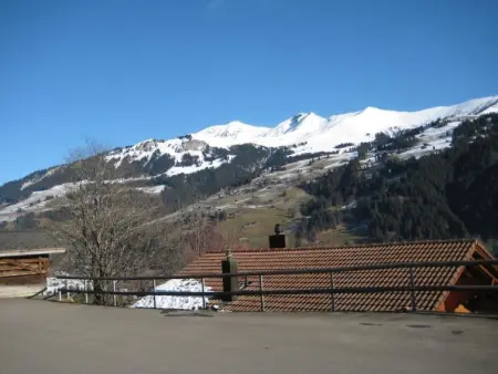 Arnika # 1, Appartement 3 personnes à Lenk - Photo 3