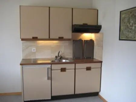 Arnika # 1, Appartement 3 personnes à Lenk - Photo 5