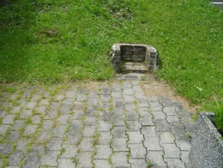 Arnika # 2, Appartement 5 personnes à Lenk - Photo 5