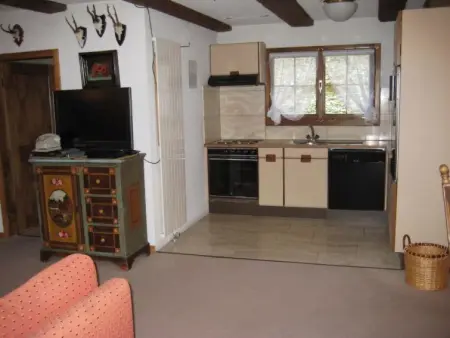 Arnika # 2, Appartement 5 personnes à Lenk - Photo 8