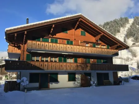 Chalet Lenk Dänk App. 6, Appartement 4 personnes à Lenk - Photo 1