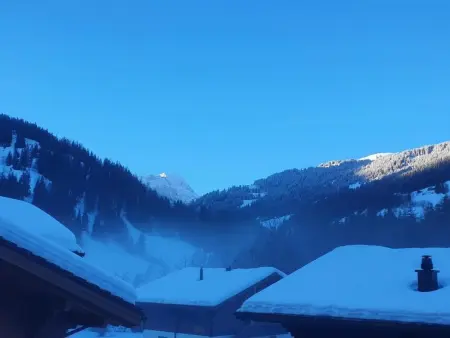 Chalet Lenk Dänk App. 6, Appartement 4 personnes à Lenk - Photo 5