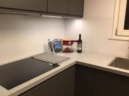 Möösli, Appartement 10 personnes à Lenk - Photo 19