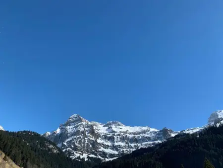 Rothenbach, Appartement 6 personnes à Lenk - Photo 4