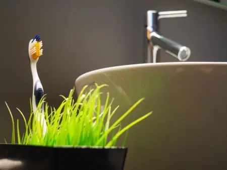 Rothenbach, Appartement 6 personnes à Lenk - Photo 40