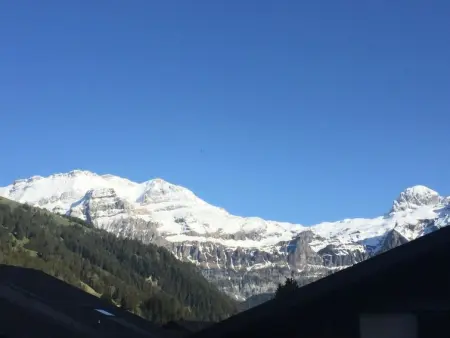 Morion, Appartement 4 personnes à Lenk - Photo 10