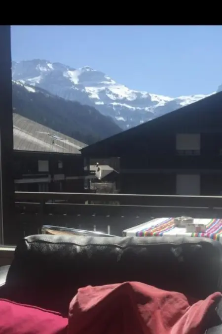 Morion, Appartement 4 personnes à Lenk - Photo 14