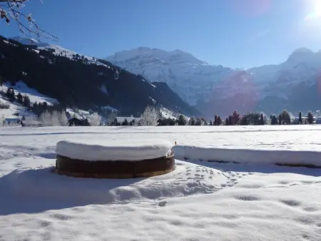 Lischenhaus - Strubel, Appartement 5 personnes à Lenk - Photo 10