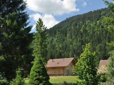 Andrea, Appartement 6 personnes à Lenk - Photo 8