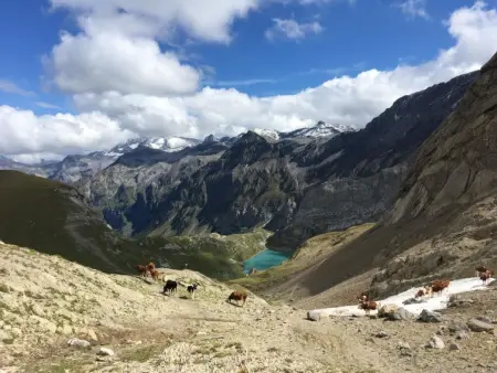 Gwunderstübli, Appartement 2 personnes à Lenk - Photo 29