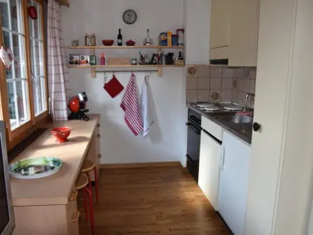 Elena # 1, Appartement 4 personnes à Lenk - Photo 7