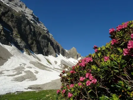 Bach, Appartement 2 personnes à Lenk - Photo 10