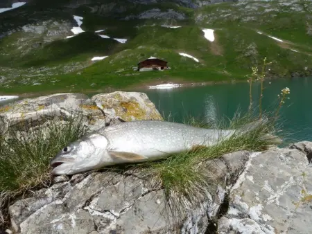 Bach, Appartement 2 personnes à Lenk - Photo 14