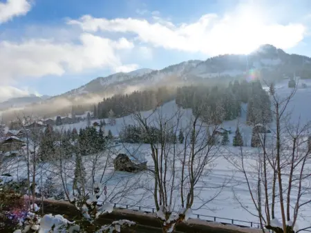 Chalet Ahorni, Chalet 6 personnes à Saanenmöser - Photo 31