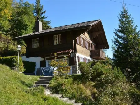 La Ruche, Chalet, Appartement 9 personnes à Saanenmöser - Photo 1