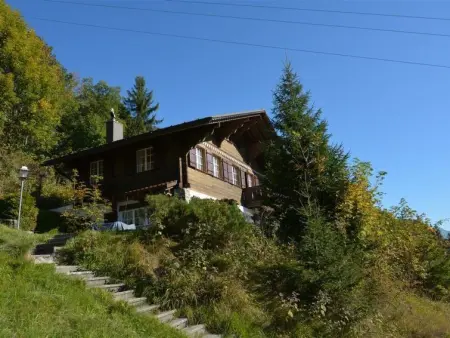 La Ruche, Chalet, Appartement 9 personnes à Saanenmöser - Photo 2